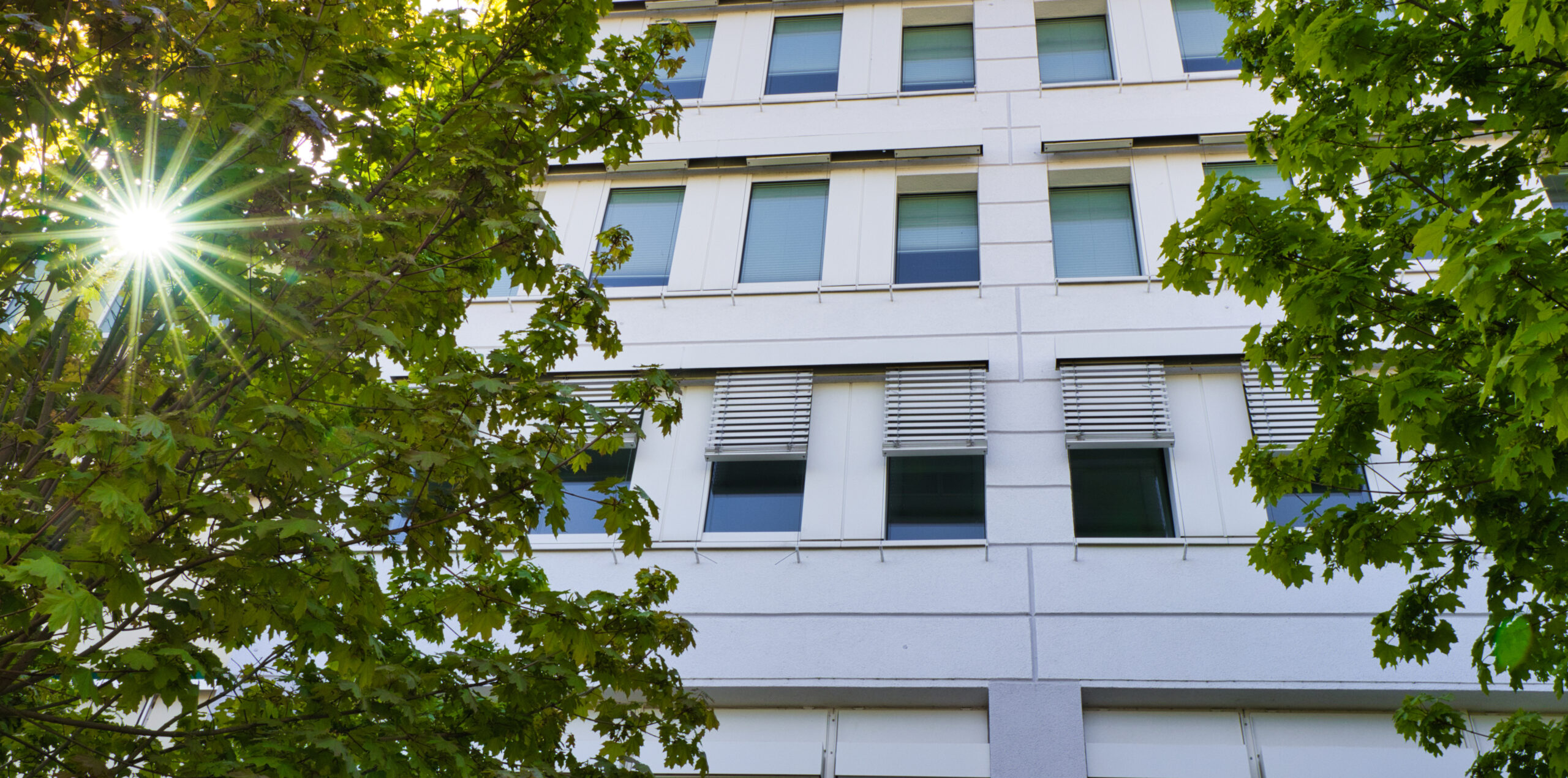 Klimaneutrale Fenster: Was hinter dem Begriff steckt